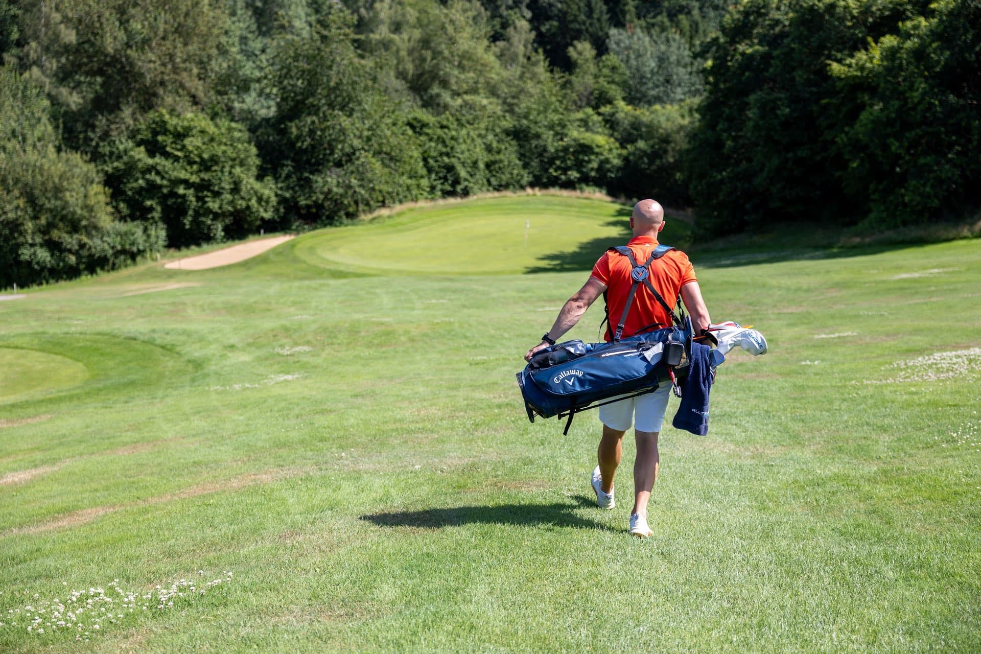 Golfer mit Tragebag von hinten auf dem Weg zum Grün